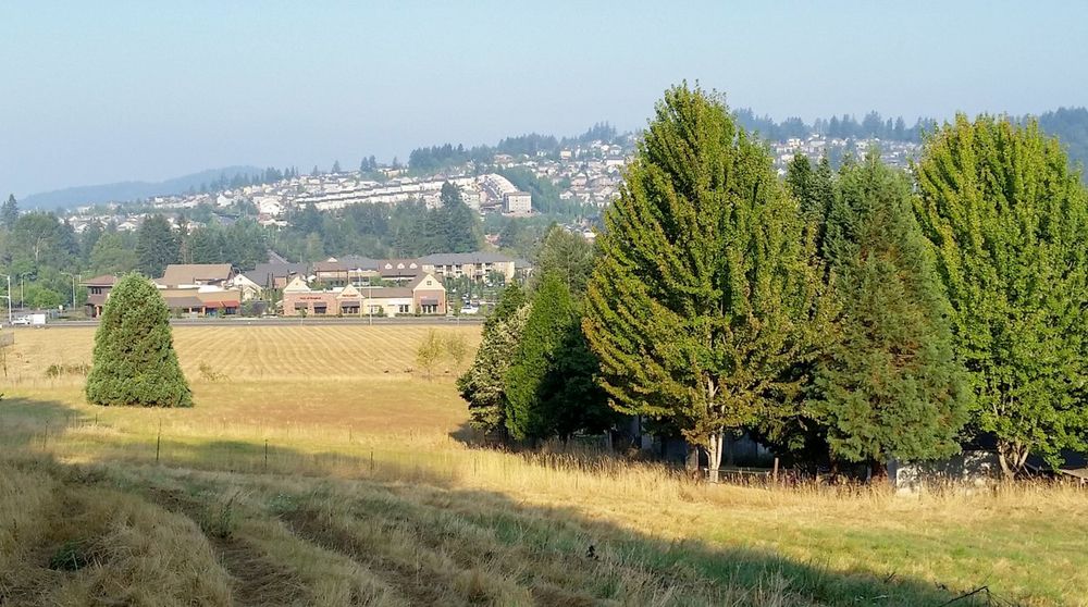 Land Development Opportunity: 17444 SE Vogel Rd, Damascus, OR 97089